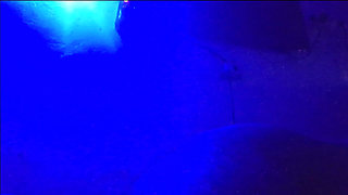 Fuck Like a Bitch at Night