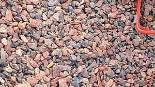 Thick Ebony Thighs N BBW Mature Feet with Plump Juicy Yellow Toes