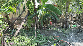 At the gentle farm house, the owner started to the nine-kar, then after a while, she started stumbling on the B.Ed in the house.