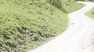 Alpine Pissing with Dirty Tina