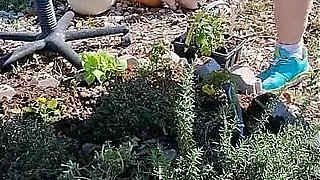 Nurse Vicki Is Sweating in the Garden