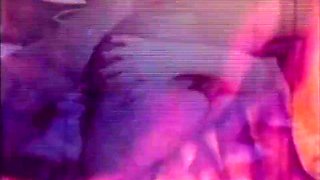 Vanessa Vulgar Pig With Vanessa Del Rio