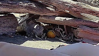 Risky Blowjob on the Canary Beach Caught with Intense Orgasm P2 - Misscreamy