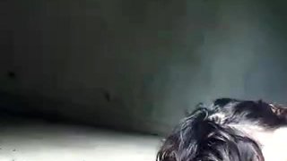 purupuru-fuck-pako-44