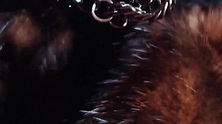 FUR FETISH video: beautiful Mistress tease and seduce. ASMR and JOI. Arya Grander.