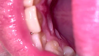 Mouth Tour