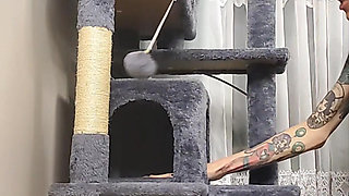 Stuck Shiloh : Cathouse Edition