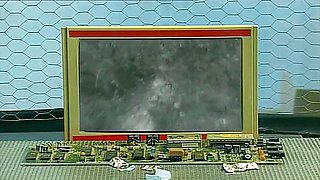 Mif - Men In Fuck (1999) - Carmen Moore