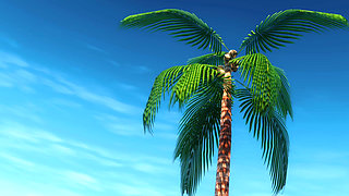 Lust Island