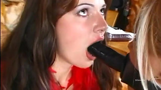 Brunette facing a black and white pair of cocks