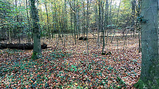 She Have to Strip Naked in the Woods - Then Getting Hard Pussy Beating