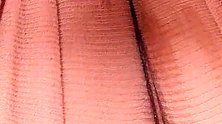 4503619