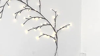 Homemade Interracial Creampie