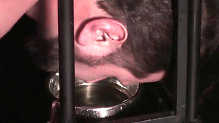 Feeding bowl piss for the slave