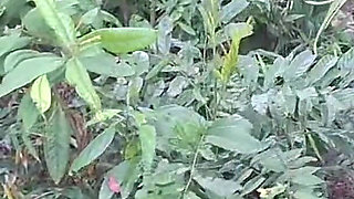 Female Ride-share Driver Stopped Her Car Outdoors to Have Sex with a Passenger!