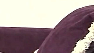 Amazing Black Beauty in White Stockings Sucks a Big Black Cock