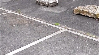 Compilation 5