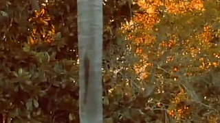 Upper Class Pleasure At The Poolside - Episode 2