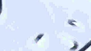 The Temptations of Marika Milani