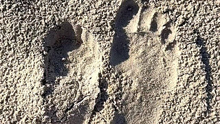 Comparing Size 16 Feet to Sand Prints at the Beach