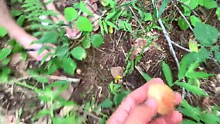 Picking wild Fruits and Eat