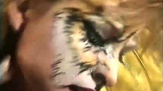 Clothed euro satin glamour spex babes lesbian pussy toying