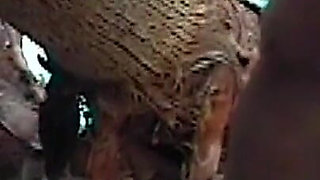 Sissy Sweet & Jesse Pool Suck Cumshot