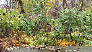 A Warm Fountain From My Stepmother's Pussy