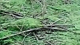 Prettiest Long Hair Thai Model Fingering Her Wet Pussy Vol 1