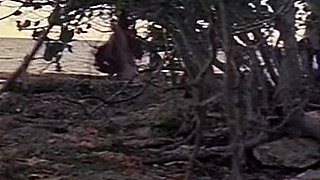 Beautiful brunette amateur sucks fucks at beach