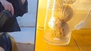 The Story of a Cuckold Who Fasts During Ramadan