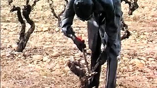 Outdoor bdsm punishment in te snow