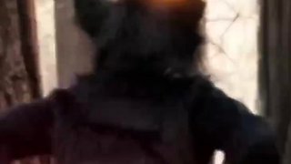 Sexy Monster dance to you