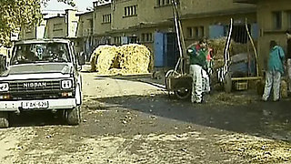 Babette Blue's German Cougar Compilation - Big Tits, Hardcore Anal and Vaginal Gangbang