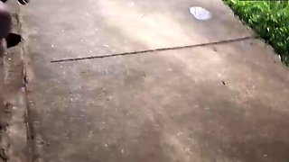 Risky masturbation at the bus stop next to the steamy girl!