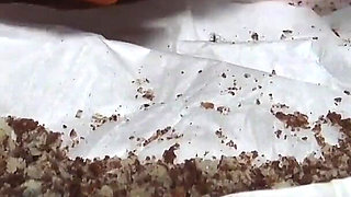 Extreme Humiliation Meal POV! Only for Real Gourmets!