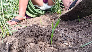 My elder brother's wife from Desi village was in an outdoor field with her shorts off, urinating, putting her finger in her pussy, and changing the corvette to take her brother-in-law's thick cock in her ass.