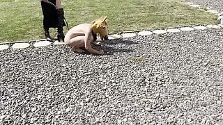 Mistress Zeida Trains Pony Girl With Whipping And Milking