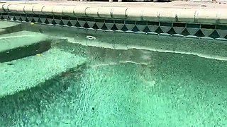 Brunette babe 69 lesbian fucks tattooed blonde