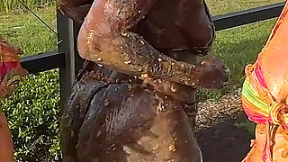 Messy Bean Play Four Hot Girls Squish Beans All Over Their Curves and Dare You to Lick Them Clean