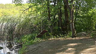 Forest Swing