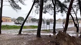 IviRoses - Rainy Day Wet in Public