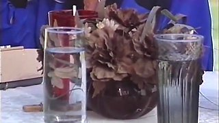 Red Vixen, Tt Boy And Marc Wallace - Captivating Red Hot Vixen Craves Big Cock