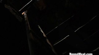 Appealing kitten - lesbian whipping action - Bound Heat