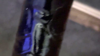 Girlfriend taking toy whilst sucking my cock