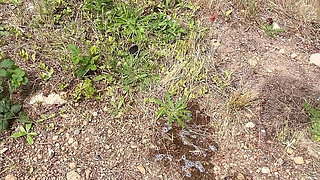 July 2026 Pee Comp