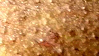 Found an Old Desi Woman Peeing Under Staircase a Nd Punished 3