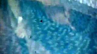 Brunette hardcore blowjob