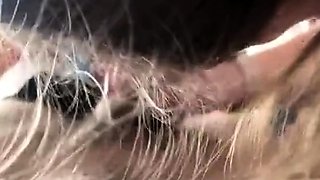 Cute College Girl Gives a Blowjob and Swallows
