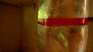 A Holiday Reindeer Hunt